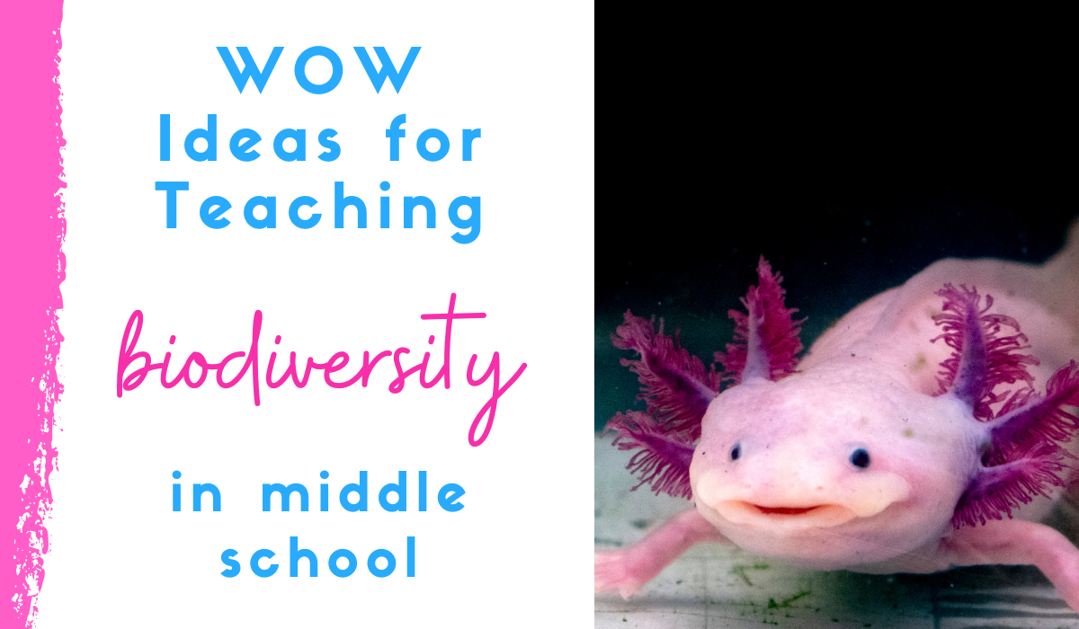 teaching biodiversity in middle school - picture of axolotl
