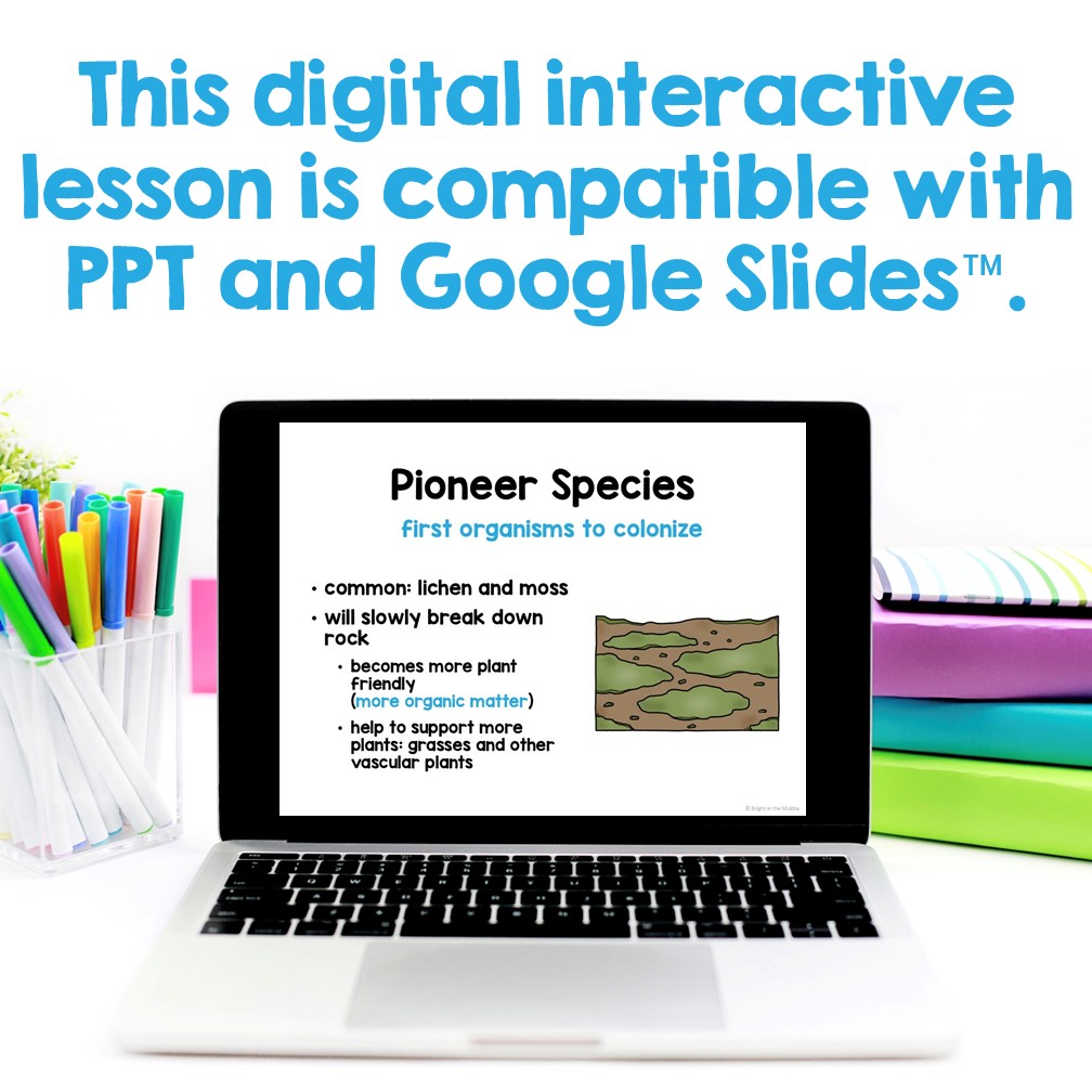 primary succession and secondary succession middle school lesson