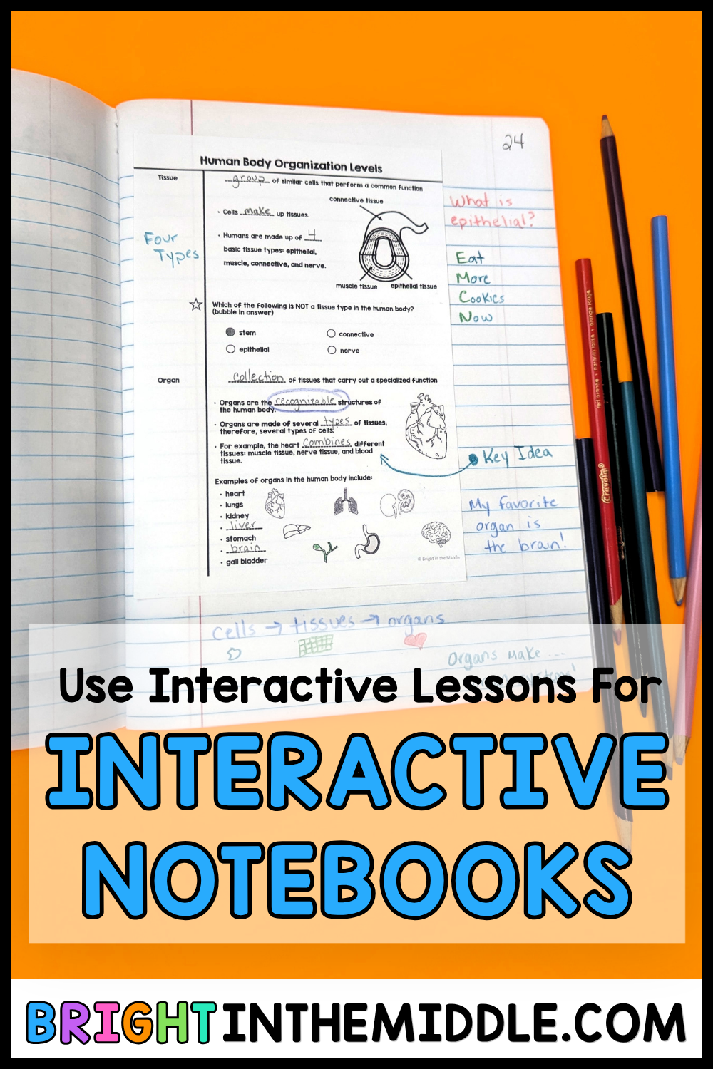 science-interactive-notebooks-using-interactive-lessons