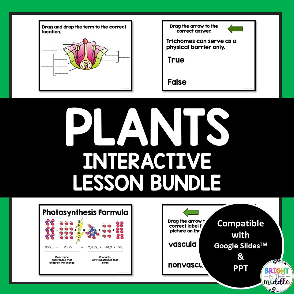 plant unit interactive lessons