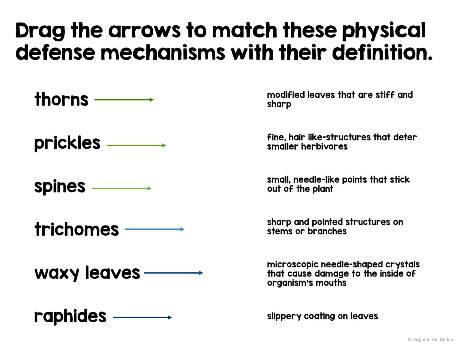 plant defenses lesson